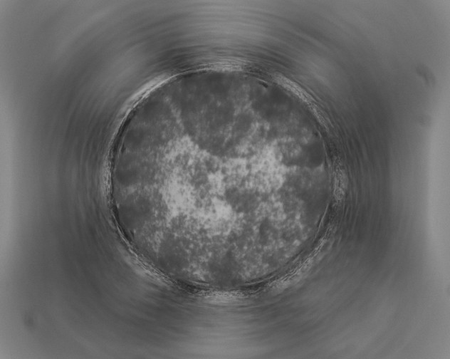 X0000112891074200909111459