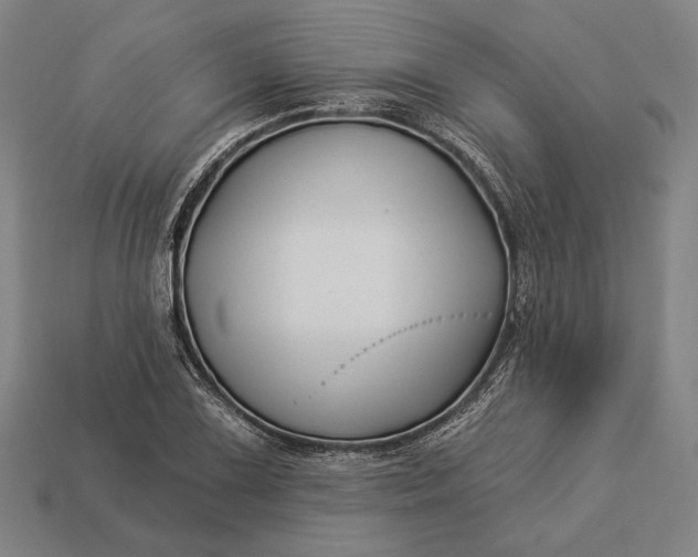 X0000112891075200909111459