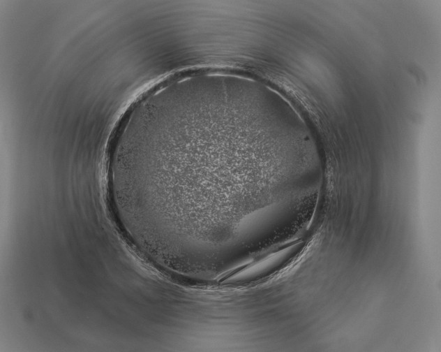 X0000112891077200909111459