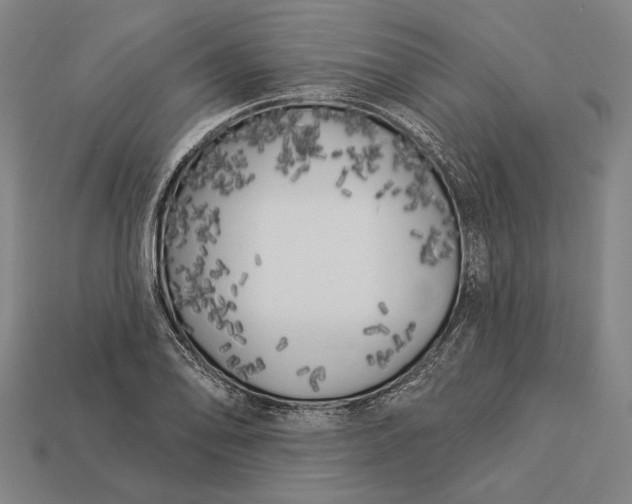 X0000112891078200909111459