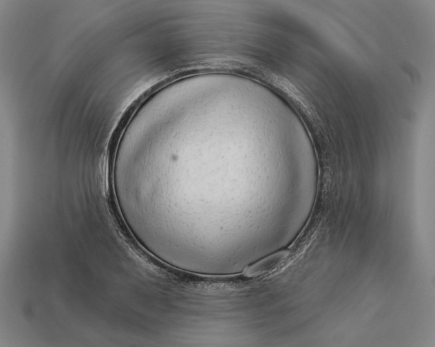 X0000112891079200909111459