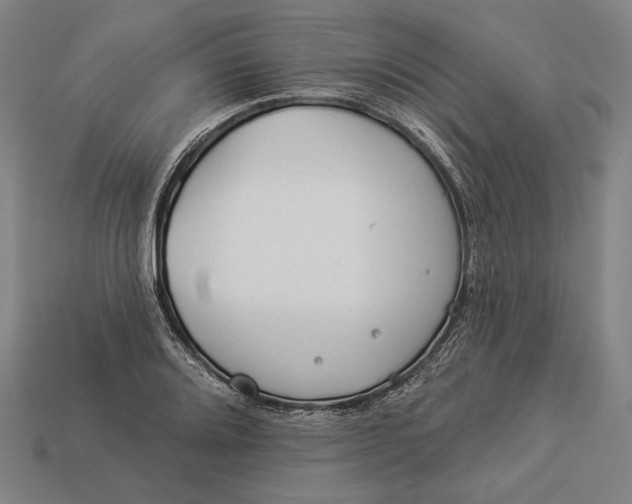 X0000112891080200909111459