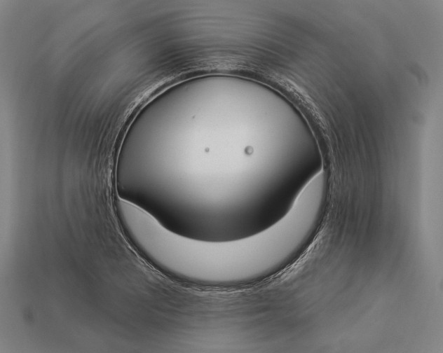 X0000112891081200909111459
