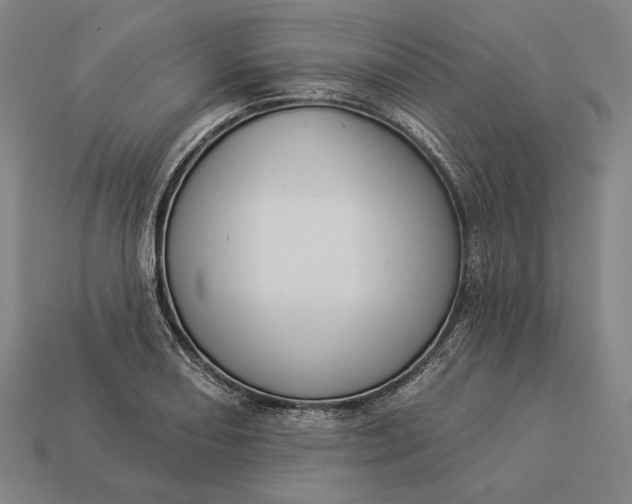 X0000112891082200909111459