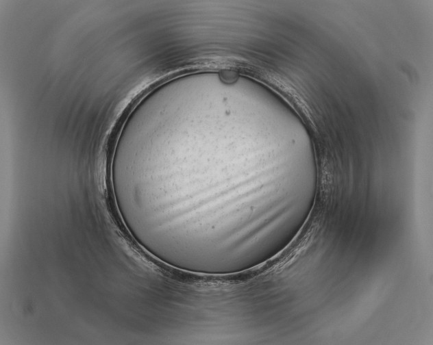 X0000112891083200909111459
