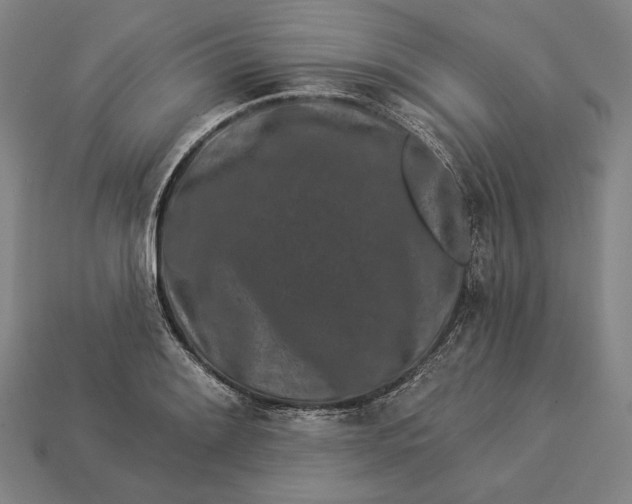 X0000112891084200909111459