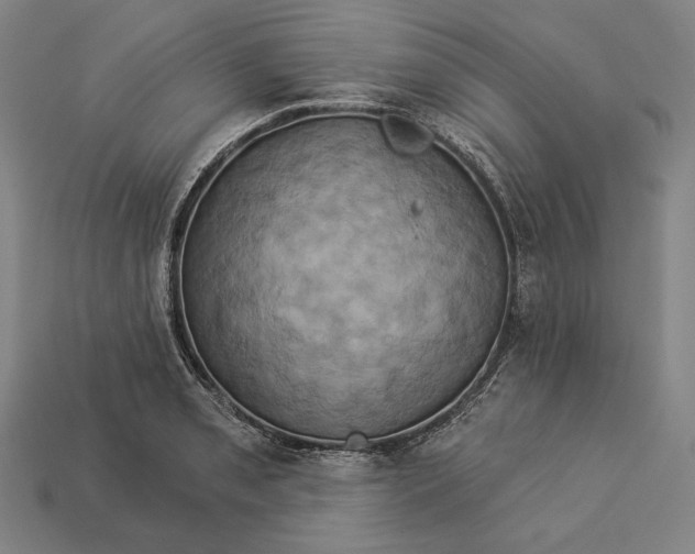 X0000112891085200909111459
