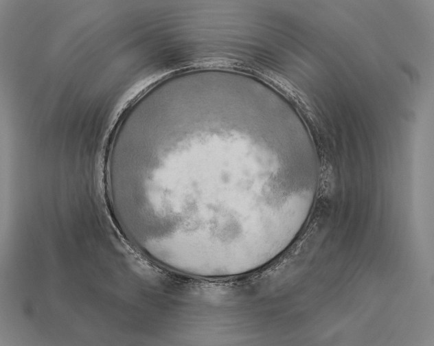 X0000112891086200909111459