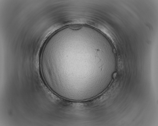 X0000112891088200909111459
