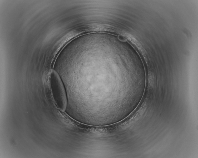 X0000112891089200909111459