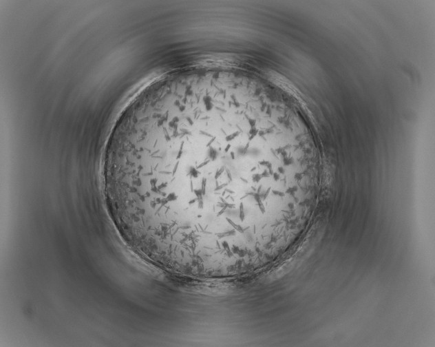X0000112891090200909111459