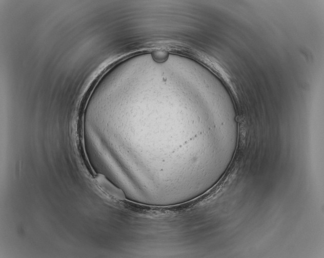 X0000112891091200909111459