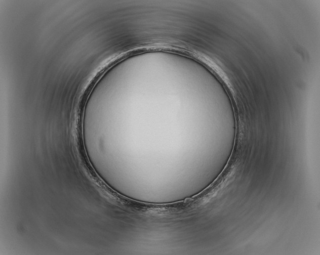 X0000112891093200909111459