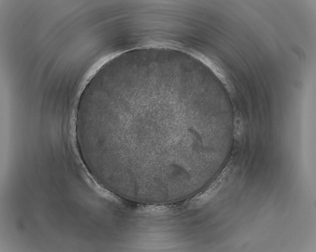 X0000112891094200909111459