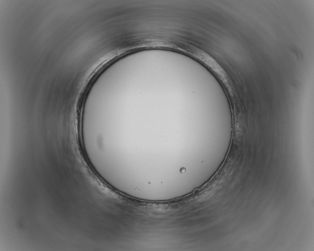 X0000112891096200909111459