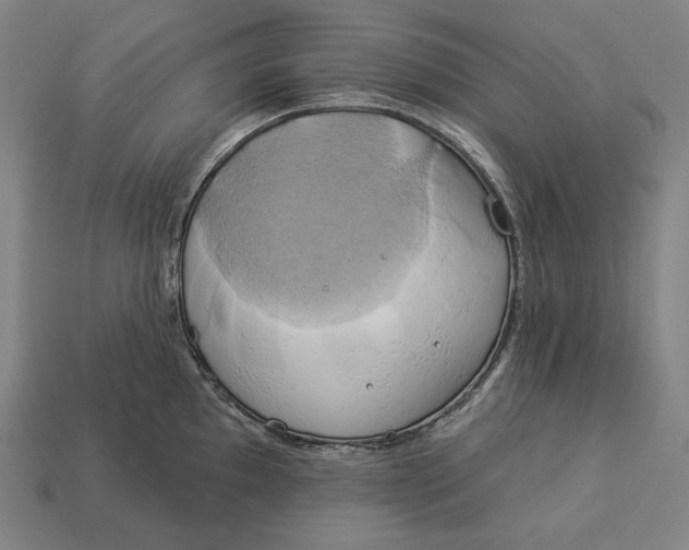 X0000112891097200909111459
