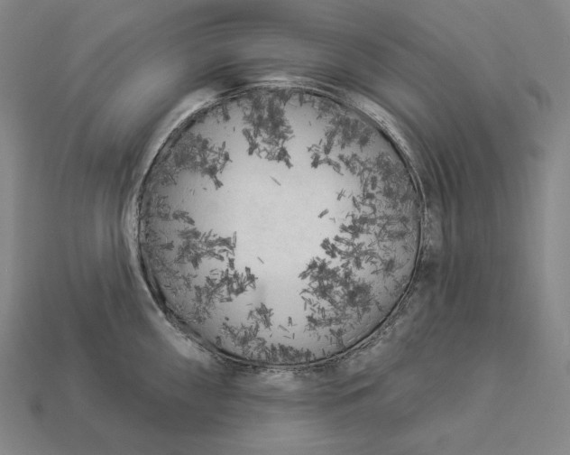 X0000112891098200909111459