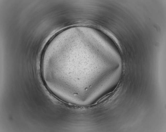 X0000112891099200909111459