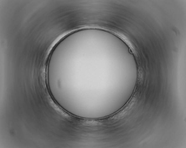 X0000112891100200909111459
