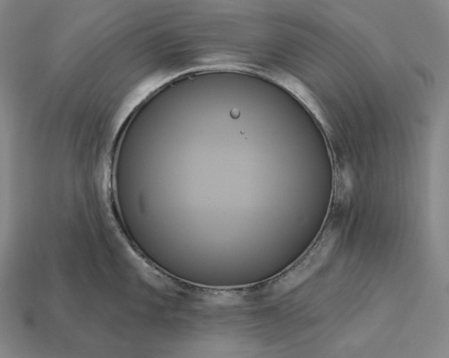 X0000112891101200909111459