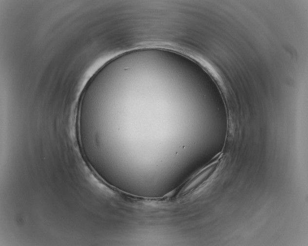 X0000112891102200909111459