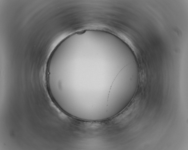 X0000112891103200909111459
