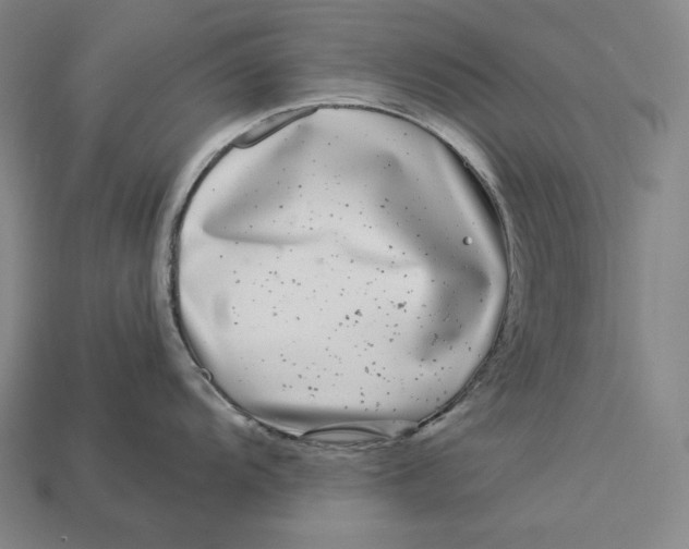 X0000112891104200909111459