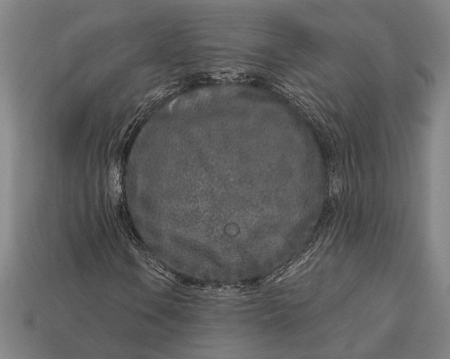 X0000112891106200909111458