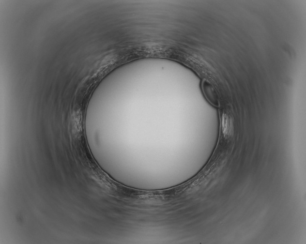 X0000112891107200909111458