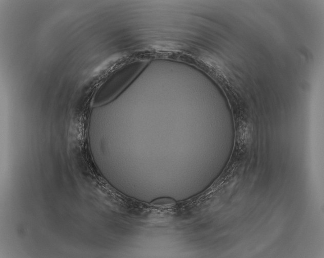 X0000112891110200909111458