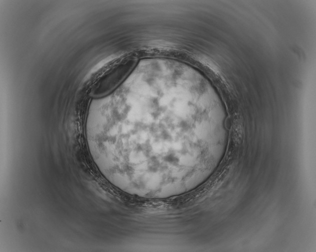 X0000112891112200909111458