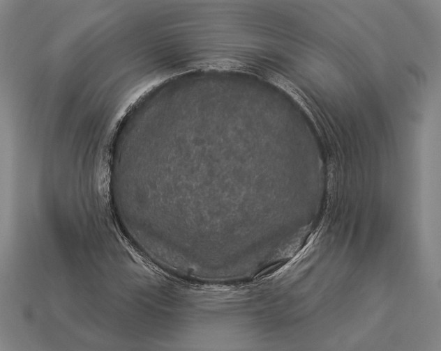 X0000112891115200909111458