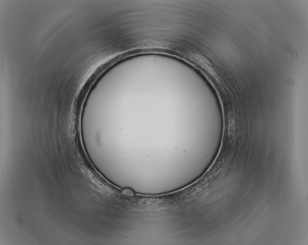 X0000112891116200909111458