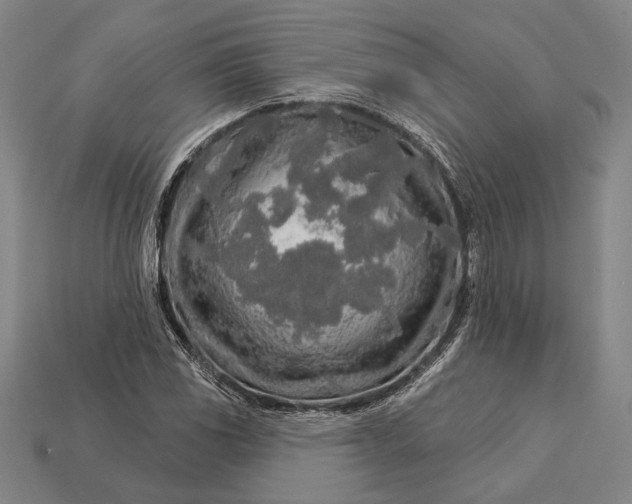 X0000112891117200909111458