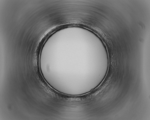 X0000112891118200909111458