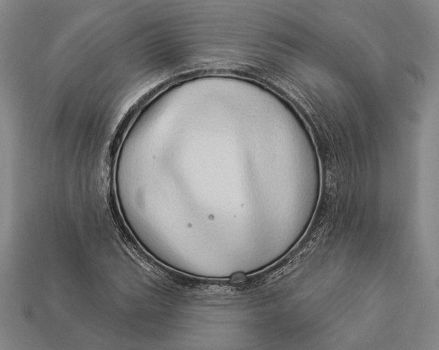 X0000112891119200909111458