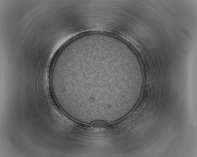 X0000112891120200909111458