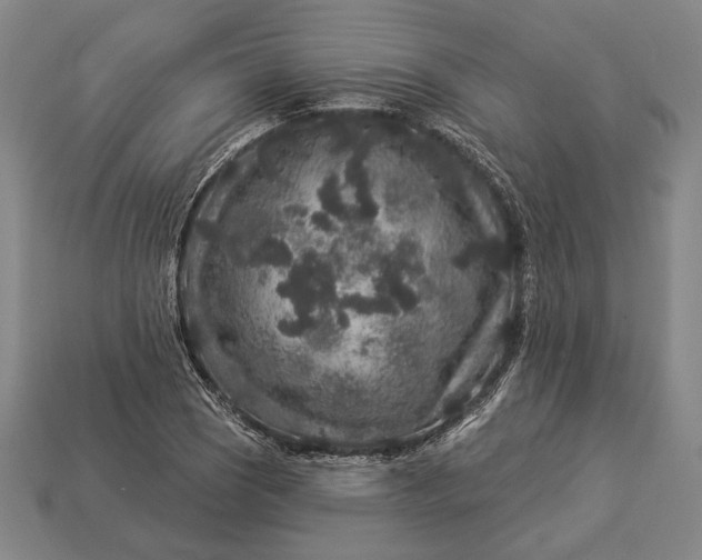 X0000112891121200909111458