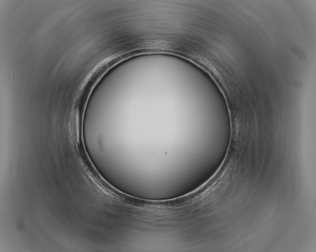 X0000112891123200909111458