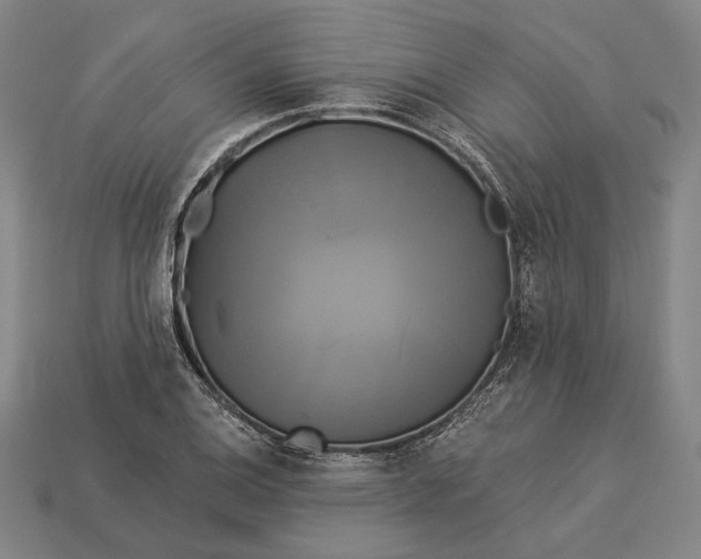 X0000112891124200909111458