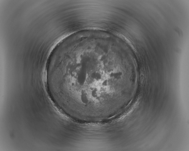 X0000112891125200909111458