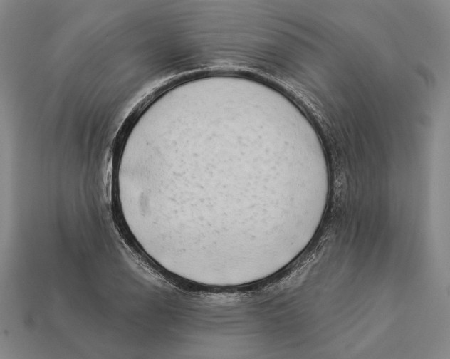 X0000112891126200909111458