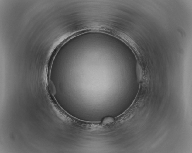 X0000112891128200909111459