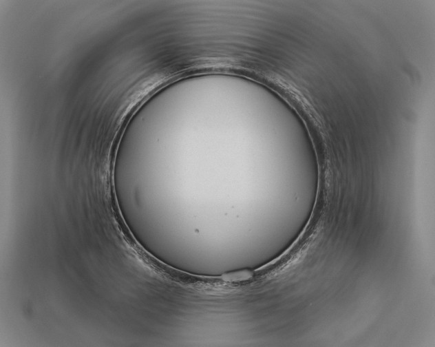 X0000112891129200909111459