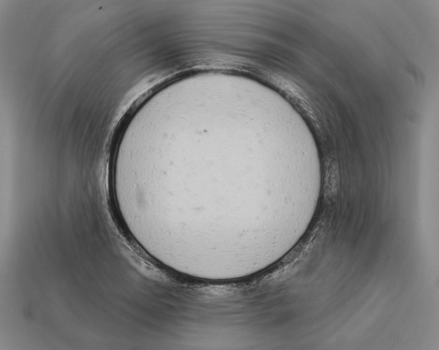 X0000112891130200909111459