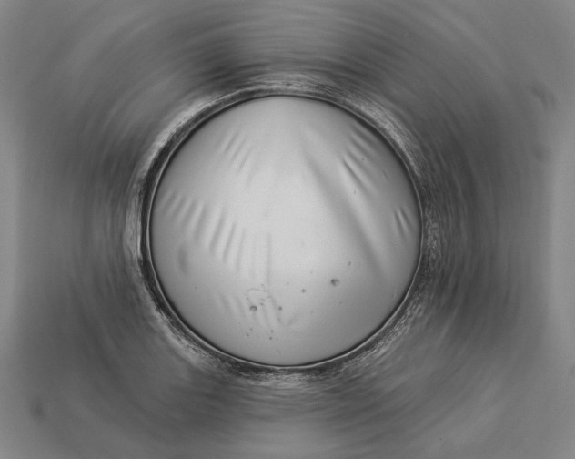 X0000112891131200909111459