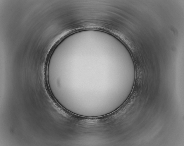 X0000112891134200909111459