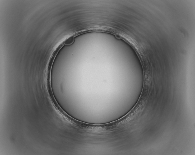 X0000112891135200909111459