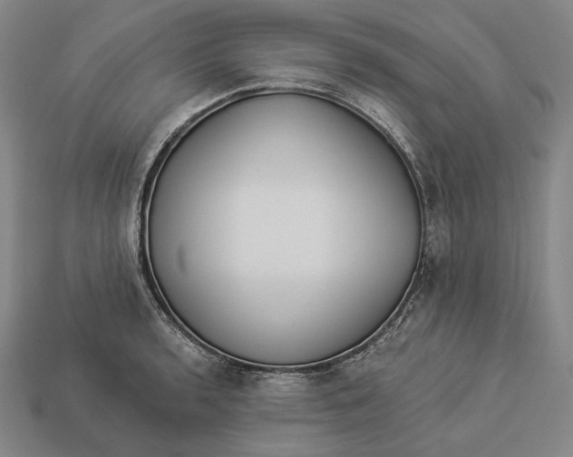 X0000112891136200909111459