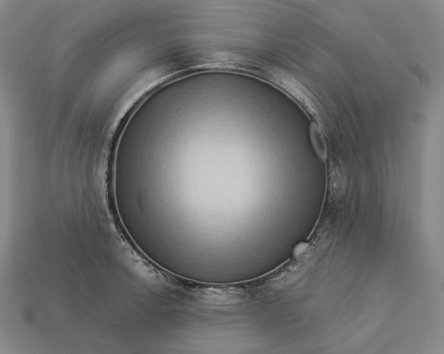X0000112891138200909111459